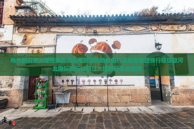 梅州到云南大理团体旅游云南旅游攻略自由行云南看看路线行程信息河北国际旅行社丽江大理旅行景点旅游