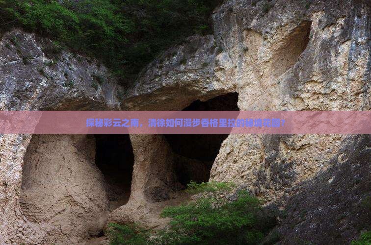 探秘彩云之南，清徐如何漫步香格里拉的秘境花园？