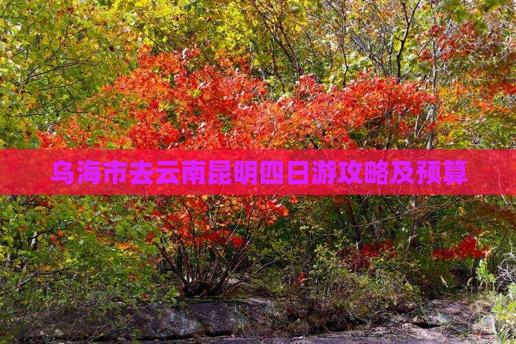 乌海市去云南昆明四日游攻略及预算