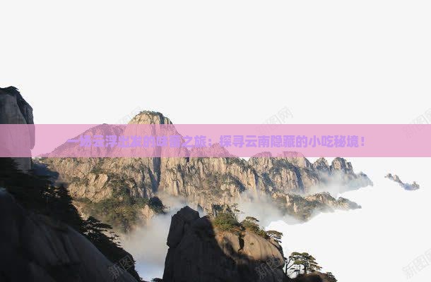 一场云浮出发的味蕾之旅：探寻云南隐藏的小吃秘境！