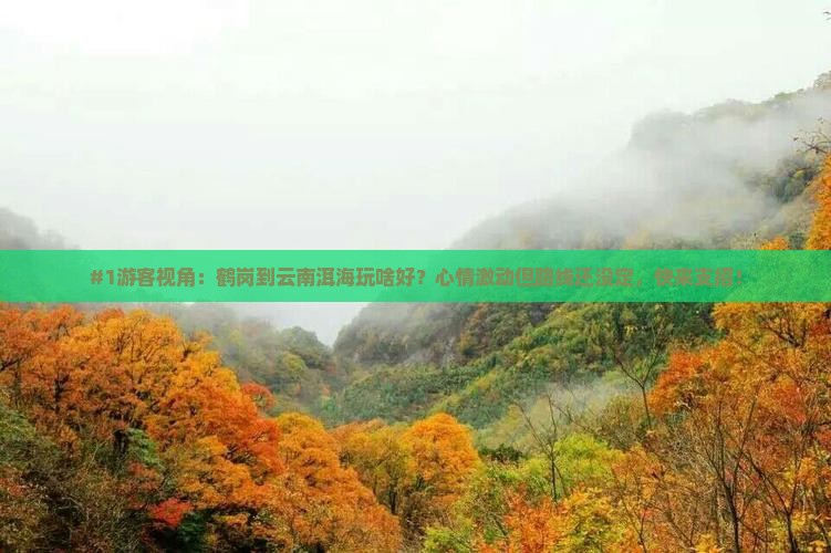 #1游客视角：鹤岗到云南洱海玩啥好？心情激动但路线还没定，快来支招！