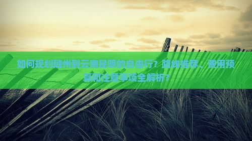 如何规划随州到云南昆明的自由行？路线推荐、费用预算和注意事项全解析？