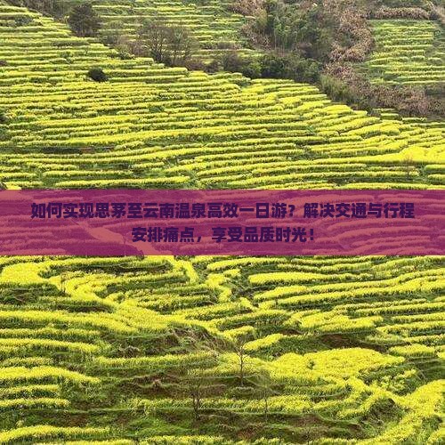 如何实现思茅至云南温泉高效一日游？解决交通与行程安排痛点，享受品质时光！