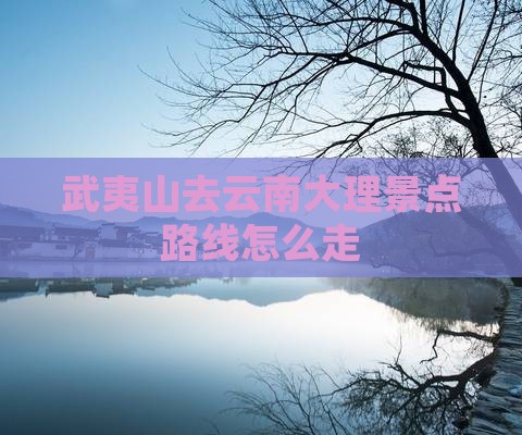 武夷山去云南大理景点路线怎么走