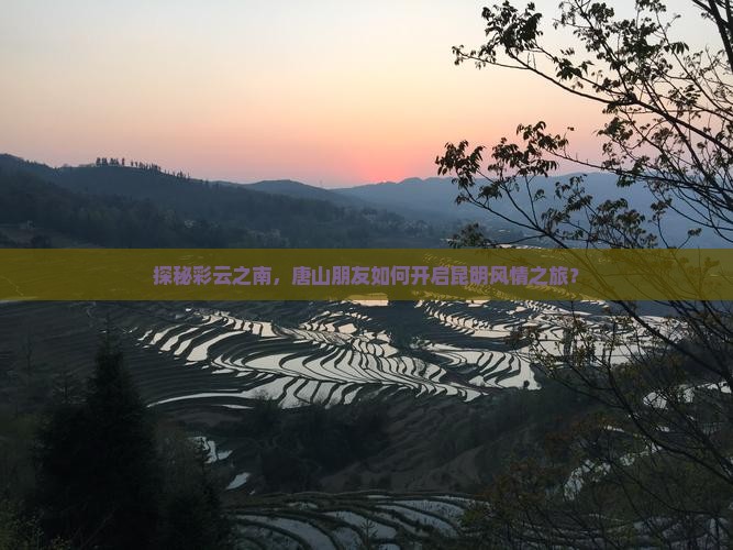 探秘彩云之南，唐山朋友如何开启昆明风情之旅？