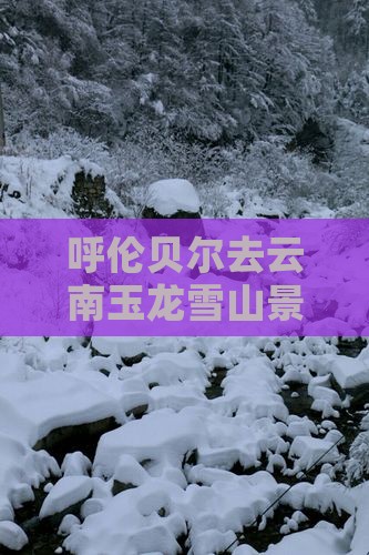 呼伦贝尔去云南玉龙雪山景点旅游路线