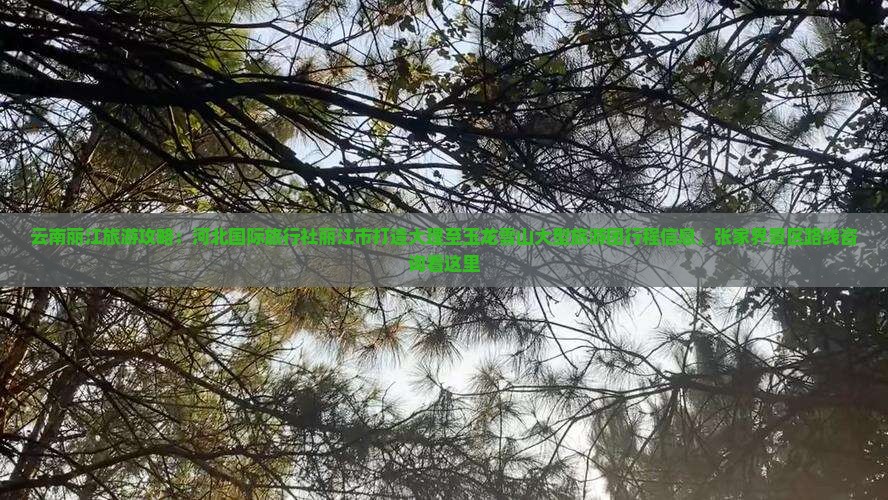 云南丽江旅游攻略：河北国际旅行社丽江市打造大理至玉龙雪山大型旅游团行程信息，张家界景区路线咨询看这里