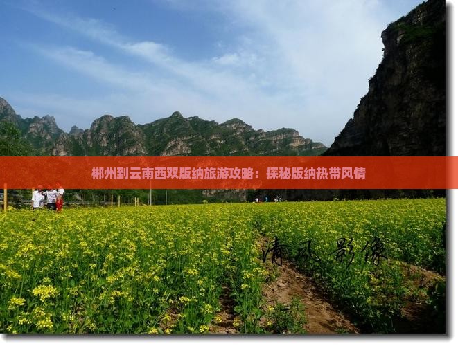 郴州到云南西双版纳旅游攻略：探秘版纳热带风情