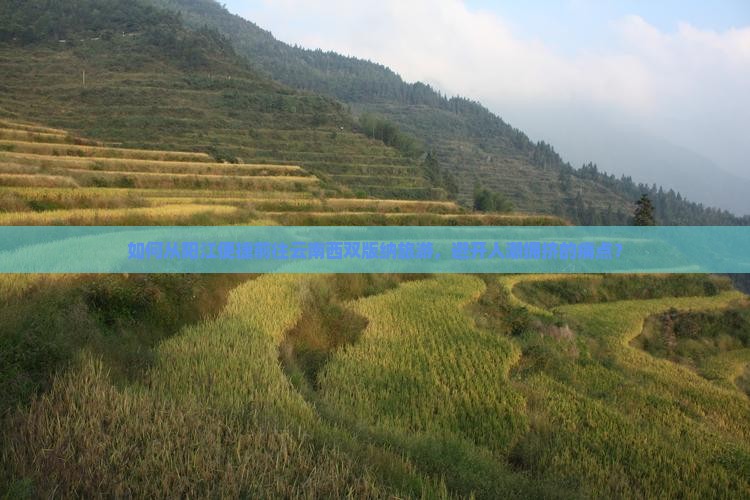 如何从阳江便捷前往云南西双版纳旅游，避开人潮拥挤的痛点？