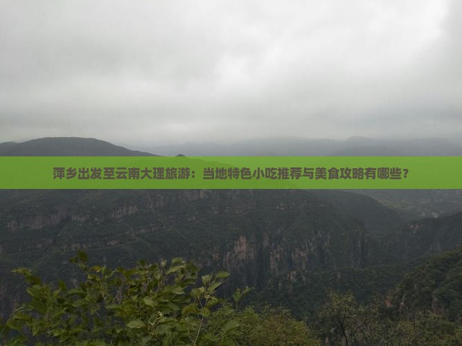 萍乡出发至云南大理旅游：当地特色小吃推荐与美食攻略有哪些？