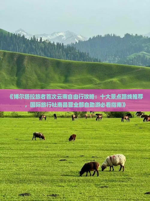 《博尔塔拉旅者首次云南自由行攻略：十大景点路线推荐，国际旅行社南昌营业部自助游必看指南》