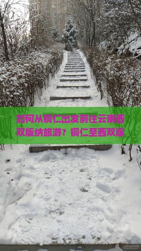 如何从铜仁出发前往云南西双版纳旅游？铜仁至西双版纳旅游攻略与行程规划指南