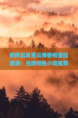 鹤岗出发至云南香格里拉旅游：当地特色小吃推荐与美食攻略有哪些？