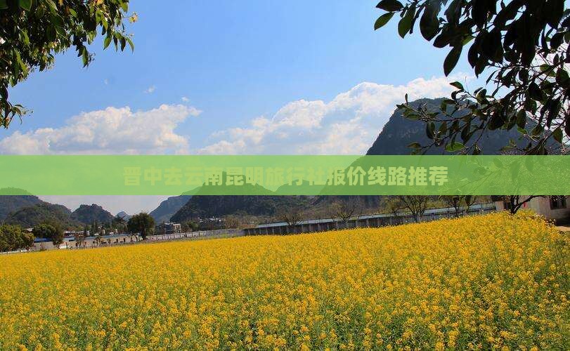 晋中去云南昆明旅行社报价线路推荐