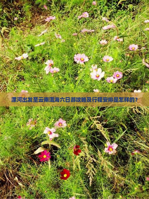 漯河出发至云南洱海六日游攻略及行程安排是怎样的？