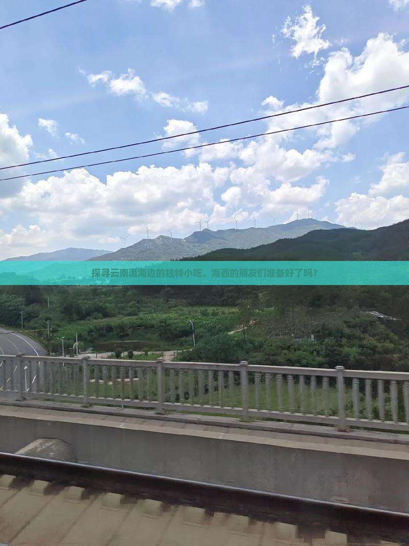 探寻云南洱海边的独特小吃，海西的朋友们准备好了吗？