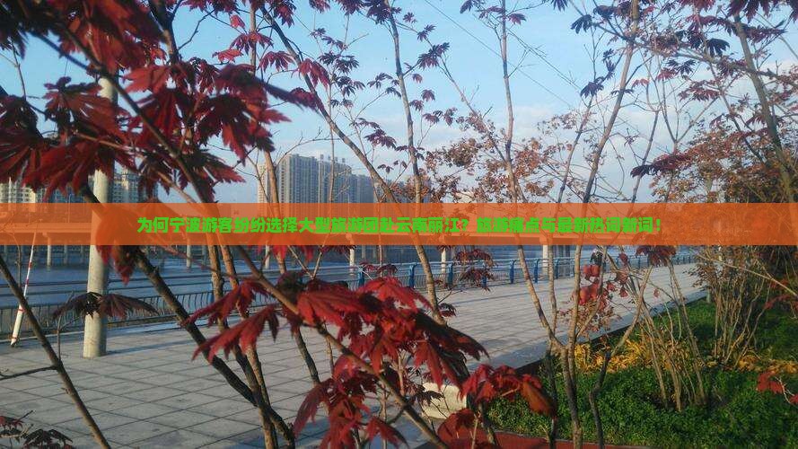 为何宁波游客纷纷选择大型旅游团赴云南丽江？旅游痛点与最新热词新词！