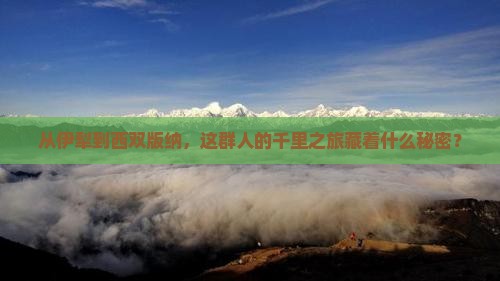 从伊犁到西双版纳，这群人的千里之旅藏着什么秘密？