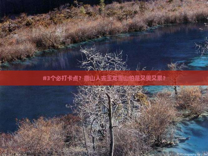 #3个必打卡点？唐山人去玉龙雪山怕是又贵又累？