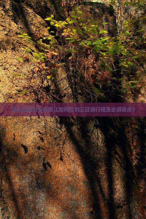 河池出发到云南丽江如何规划三日游行程及必游景点？