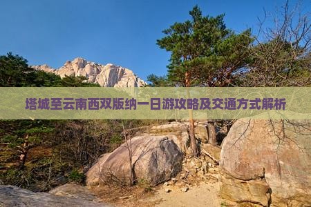 塔城至云南西双版纳一日游攻略及交通方式解析