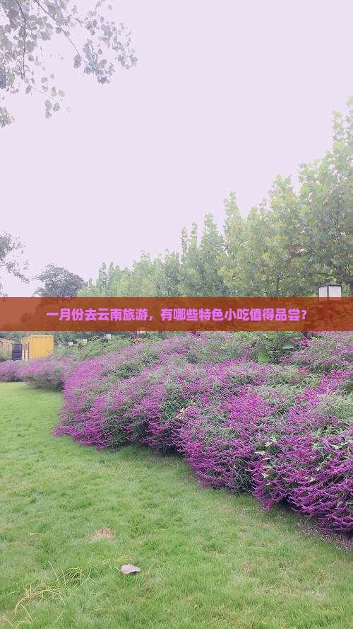一月份去云南旅游，有哪些特色小吃值得品尝？