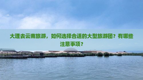 大理去云南旅游，如何选择合适的大型旅游团？有哪些注意事项？