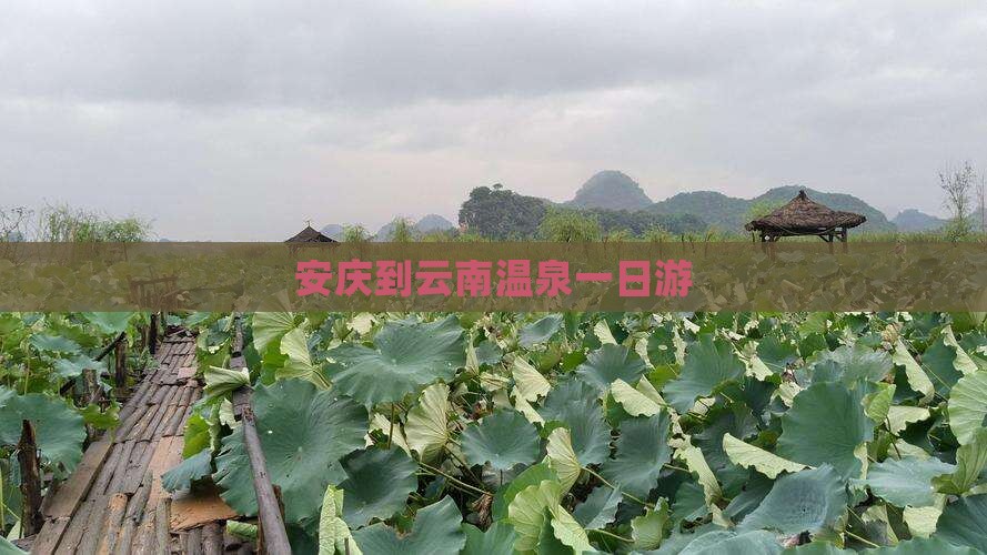 安庆到云南温泉一日游