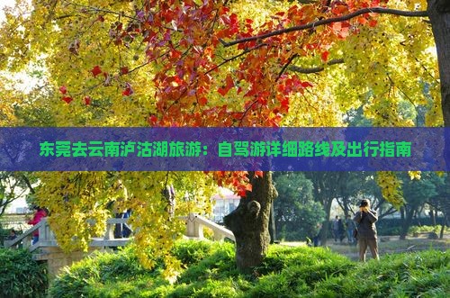 东莞去云南泸沽湖旅游：自驾游详细路线及出行指南