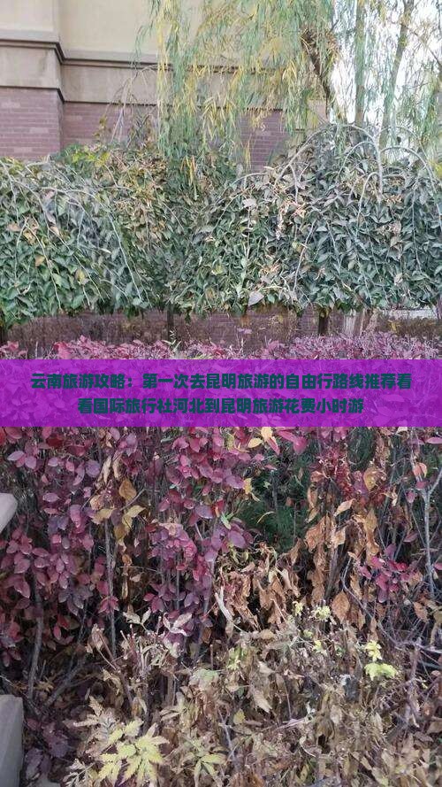 云南旅游攻略：第一次去昆明旅游的自由行路线推荐看看国际旅行社河北到昆明旅游花费小时游