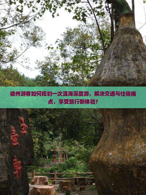德州游客如何规划一次洱海深度游，解决交通与住宿痛点，享受旅行新体验？