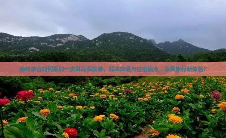 德州游客如何规划一次洱海深度游，解决交通与住宿痛点，享受旅行新体验？