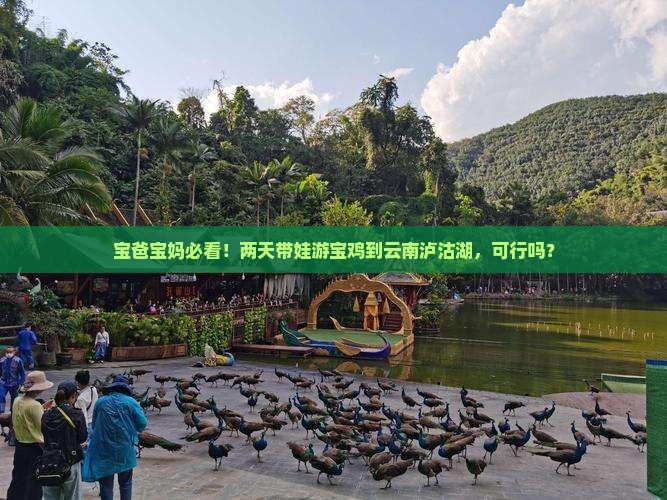 宝爸宝妈必看！两天带娃游宝鸡到云南泸沽湖，可行吗？