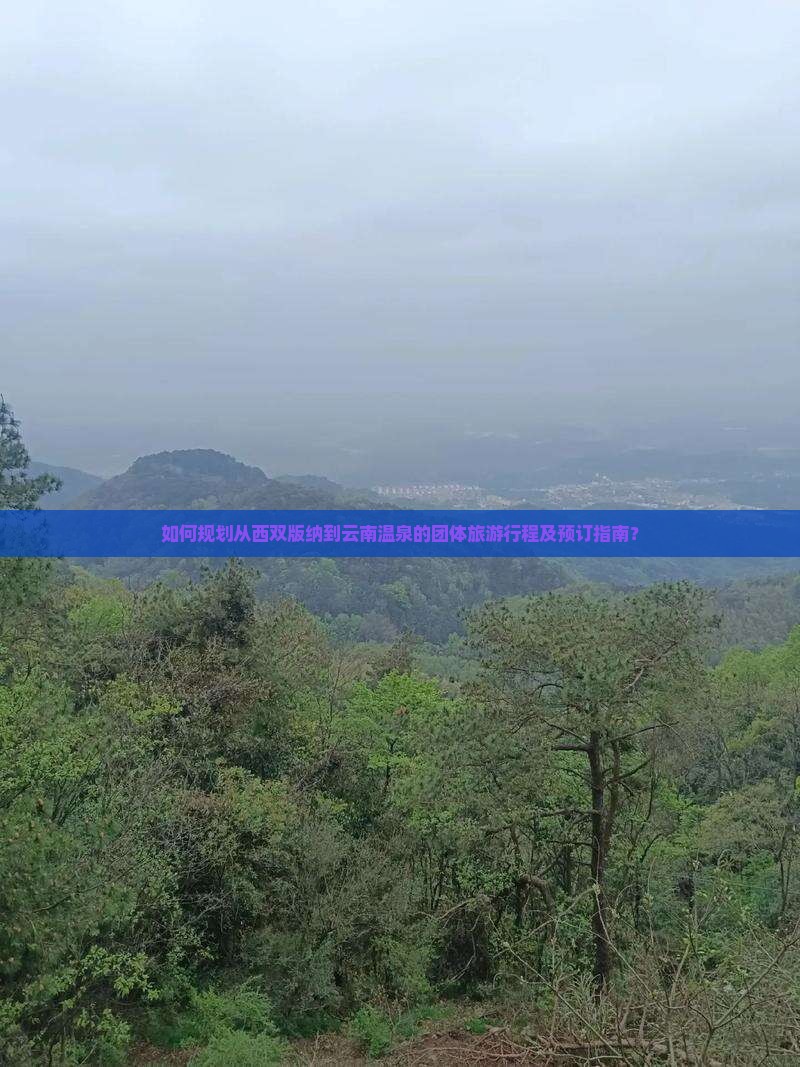 如何规划从西双版纳到云南温泉的团体旅游行程及预订指南？