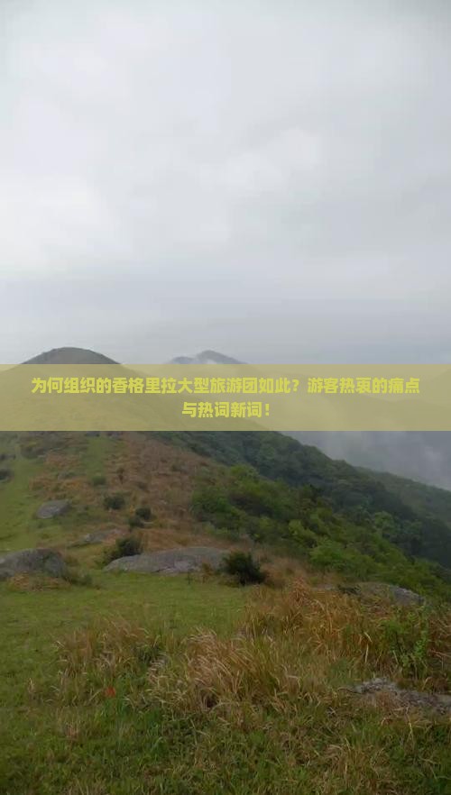 为何组织的香格里拉大型旅游团如此？游客热衷的痛点与热词新词！