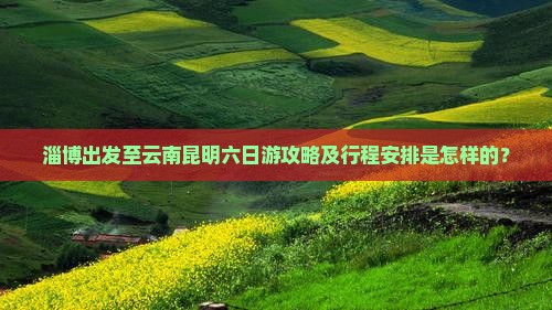 淄博出发至云南昆明六日游攻略及行程安排是怎样的？