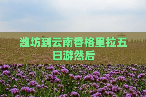 潍坊到云南香格里拉五日游然后