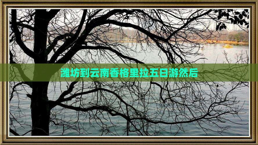 潍坊到云南香格里拉五日游然后