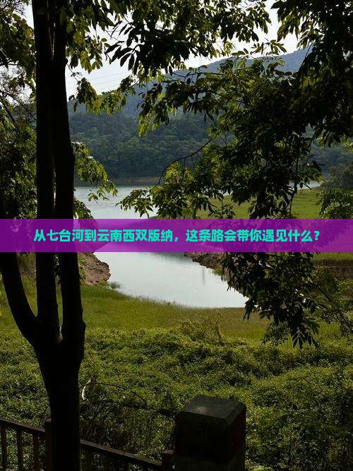 从七台河到云南西双版纳，这条路会带你遇见什么？