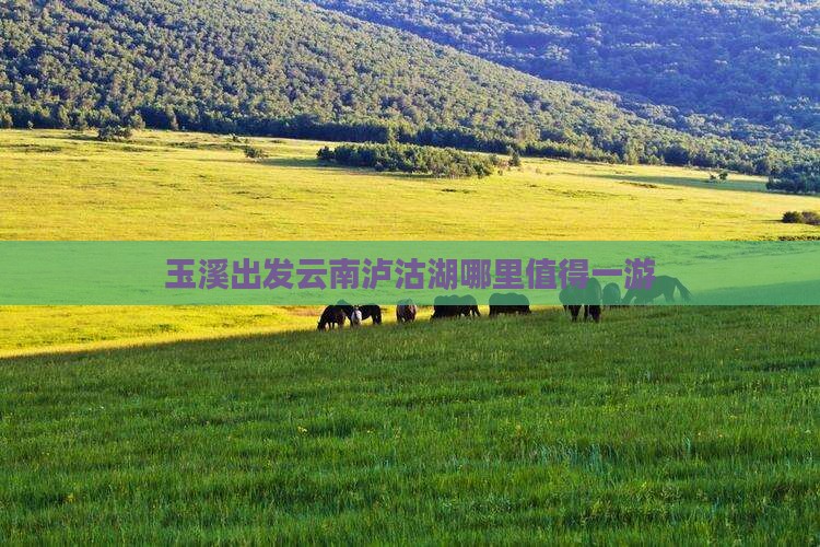玉溪出发云南泸沽湖哪里值得一游