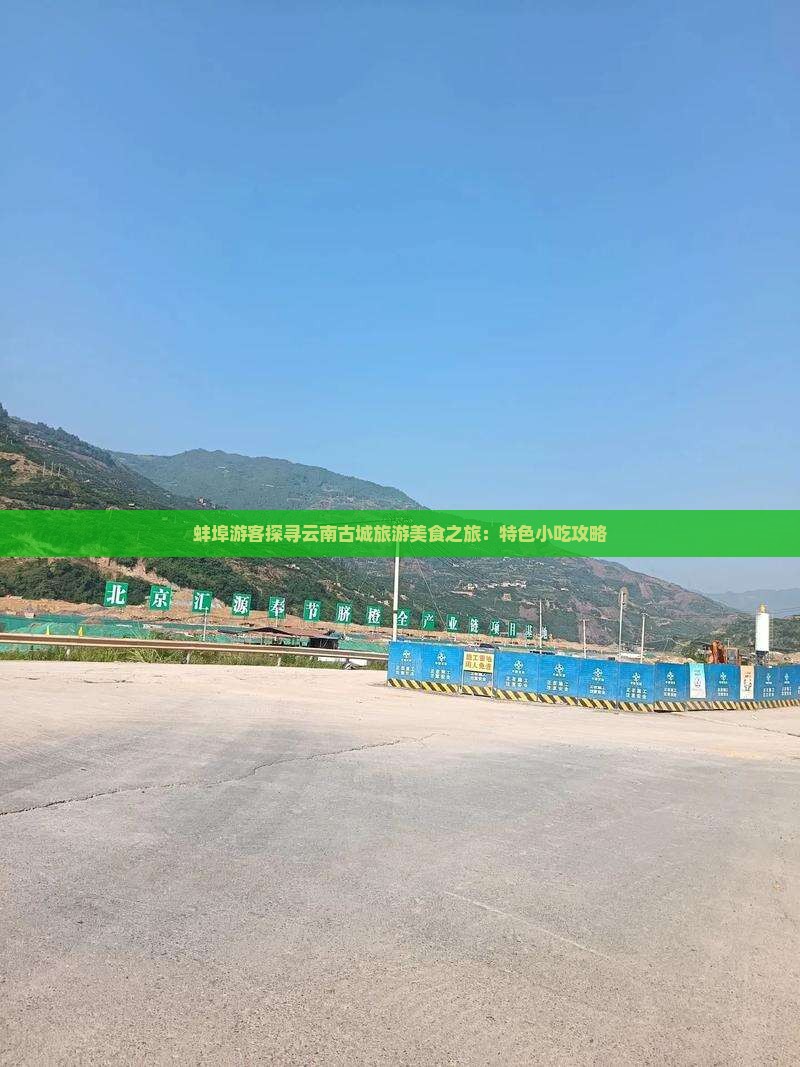 蚌埠游客探寻云南古城旅游美食之旅：特色小吃攻略