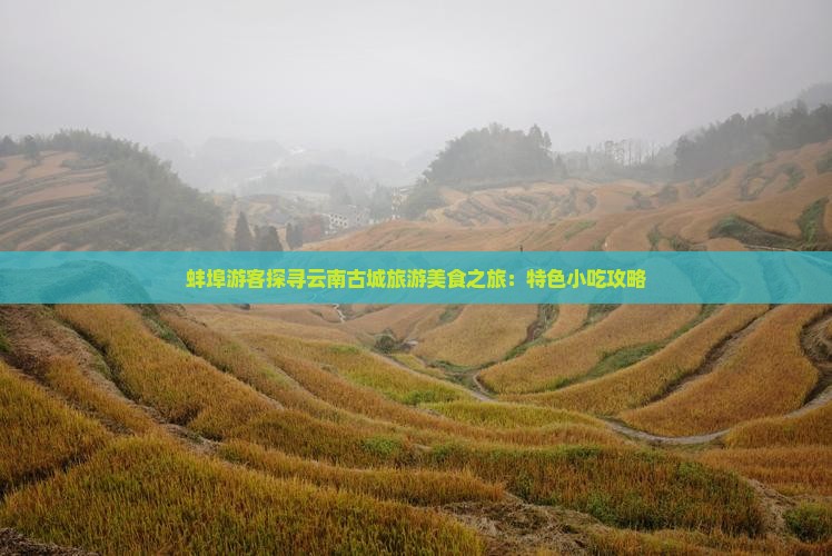 蚌埠游客探寻云南古城旅游美食之旅：特色小吃攻略