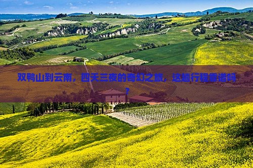 双鸭山到云南，四天三夜的奇幻之旅，这趟行程靠谱吗？