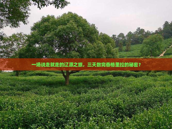 一场说走就走的辽源之旅，三天数完香格里拉的秘密？