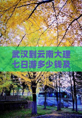 武汉到云南大理七日游多少钱及旅游攻略路线