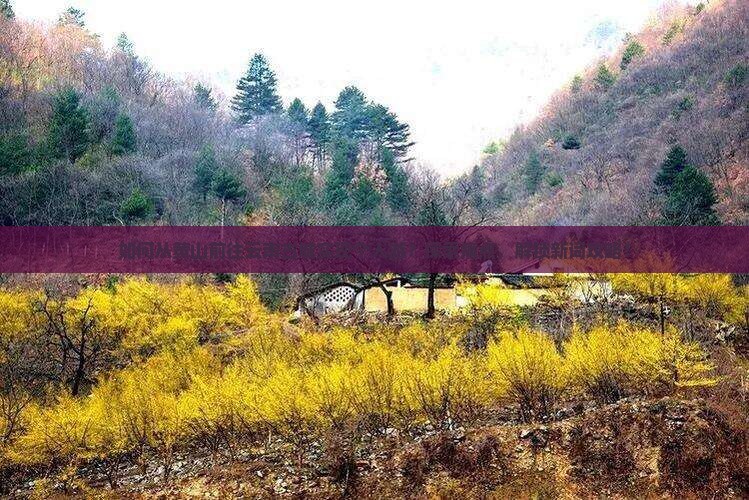 如何从黄山前往云南古城实现个人游？探索痛点，解锁新词攻略！