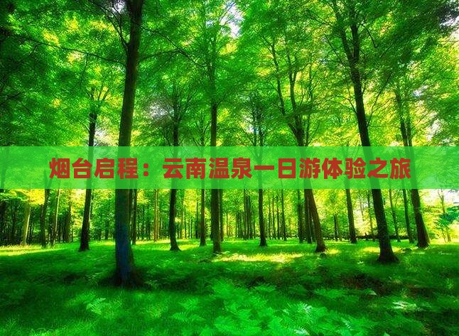 烟台启程：云南温泉一日游体验之旅