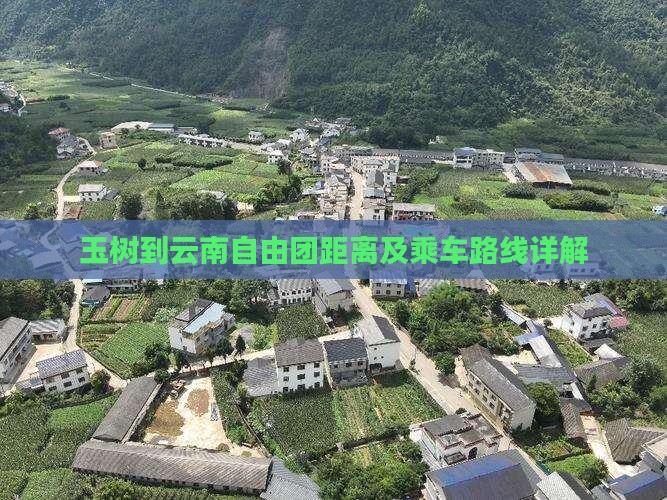 玉树到云南自由团距离及乘车路线详解