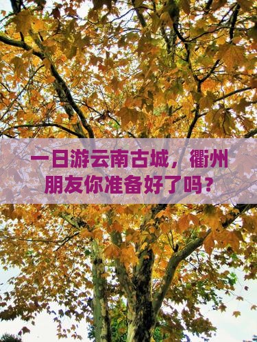 一日游云南古城，衢州朋友你准备好了吗？