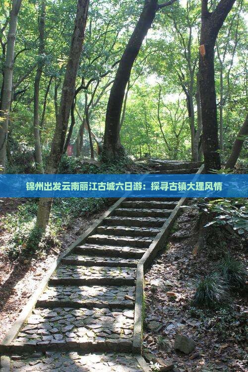 锦州出发云南丽江古城六日游：探寻古镇大理风情